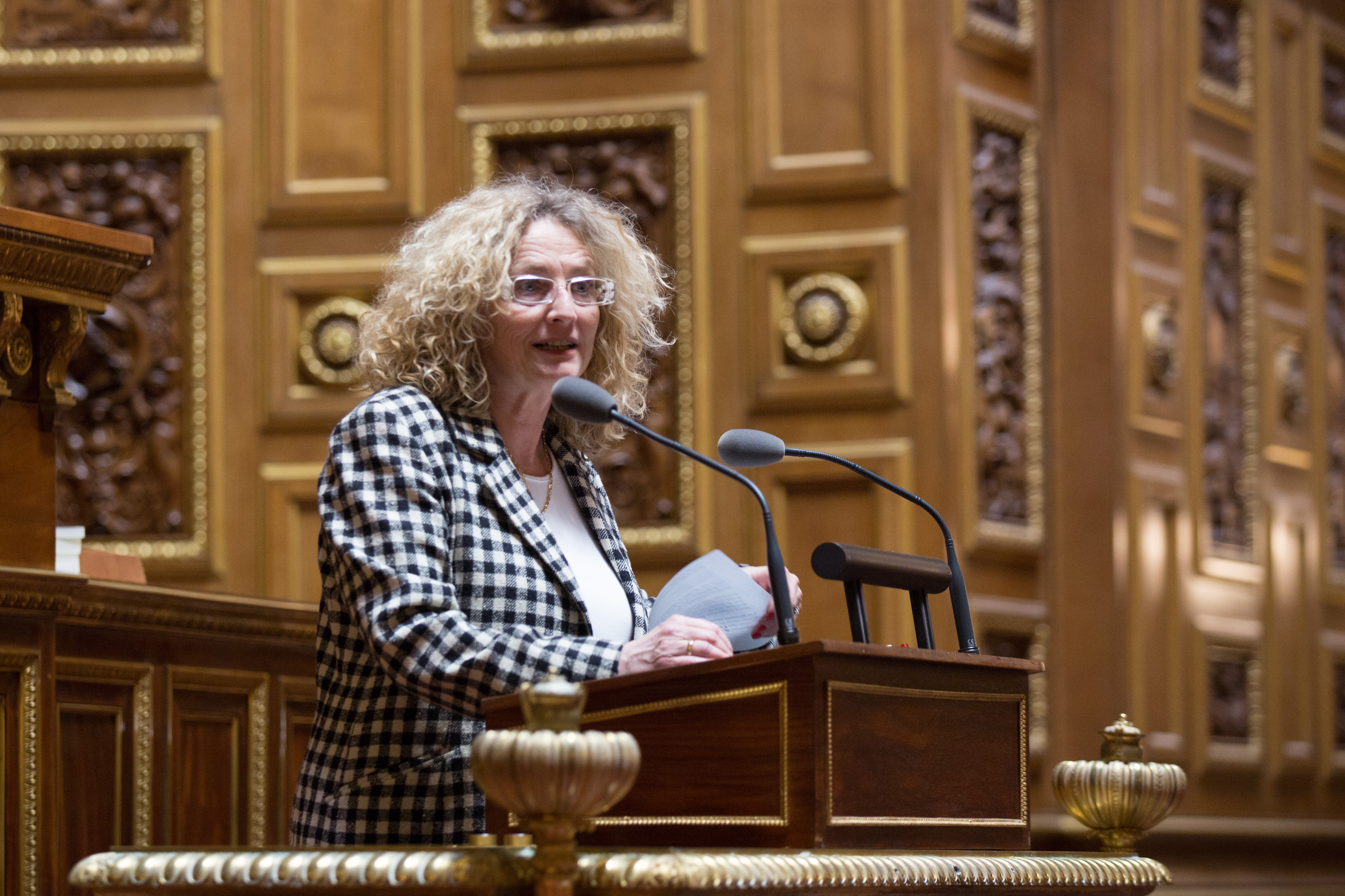 Vote solennel de la loi « asile et immigration » (première lecture)