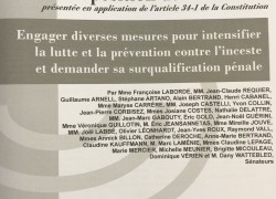 Surqualifier l'inceste dans le Code pénal : une urgence