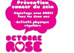 Campagne de sensibilisation au dépistage du cancer du sein 2013 : DOC31