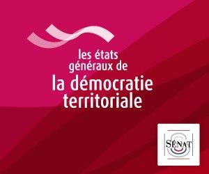 Etats Généraux de la Démocratie Locale : Chronologie