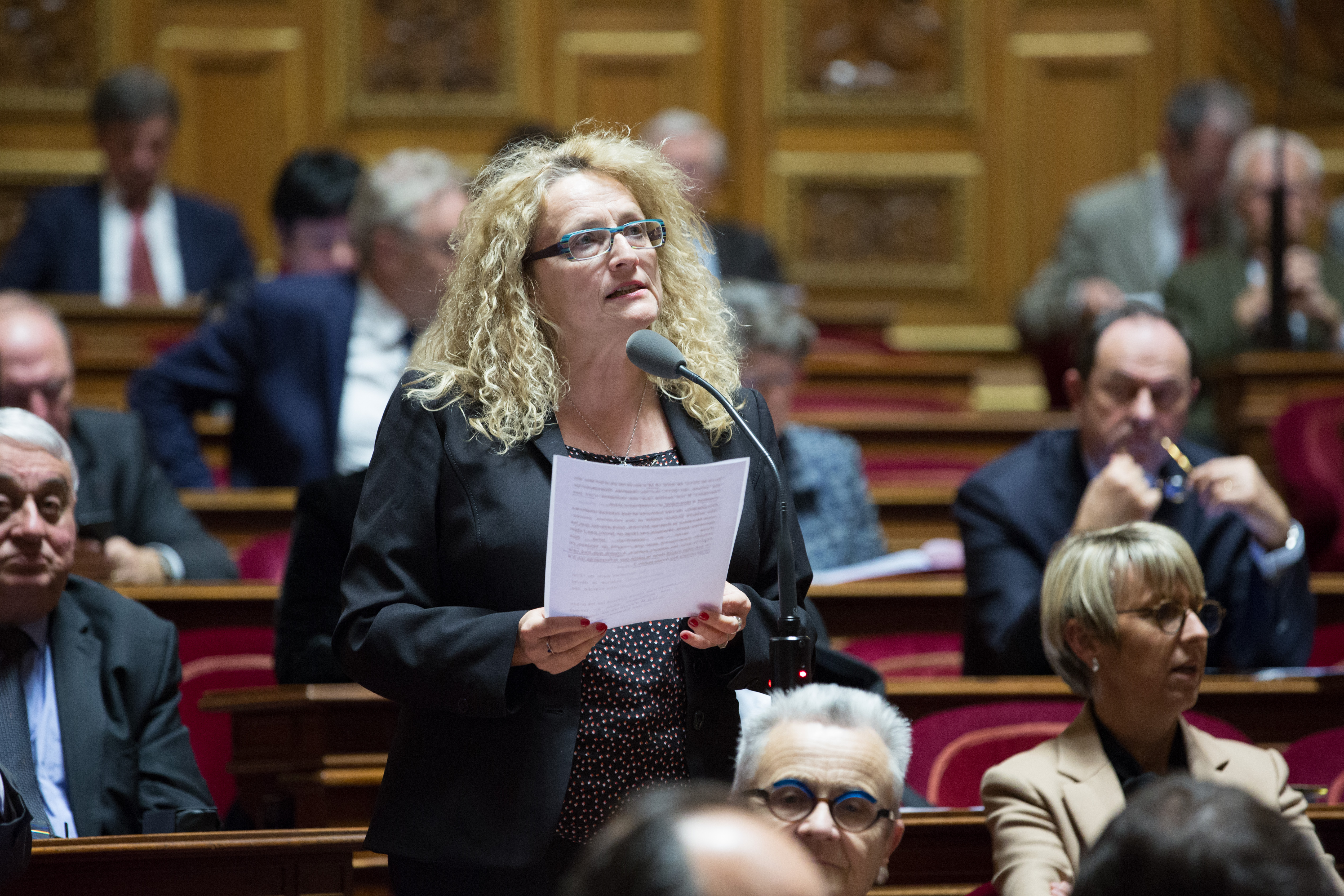 Question d'actualité au gouvernement : avenir de l'Aéroport Toulouse Blagnac