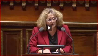 Budget Culture 2018 - F. Laborde rapporteure des crédits Livres et Industries culturelles