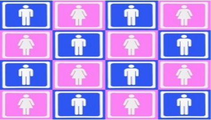 Rapport annuel 2012 de la Délégation aux droits des Femmes