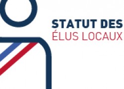 Statut des élus locaux - consultation